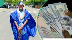 "Sell your dollar now": Fresh prediction reveals how naira will rise