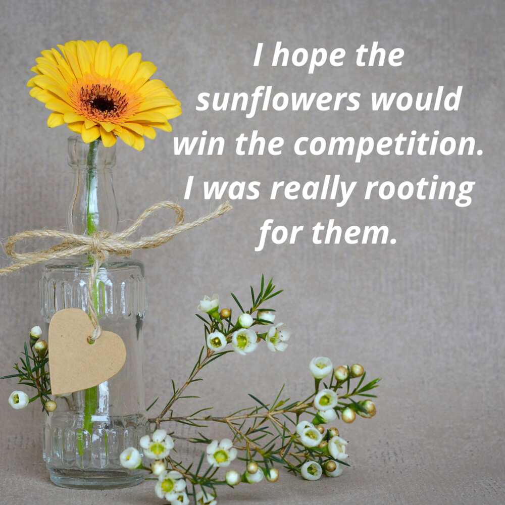 Beautiful sunflower quotes, sayings, puns, and memes to make your day - Beautiful sunflower quotes, sayings, puns, and memes to make your day -