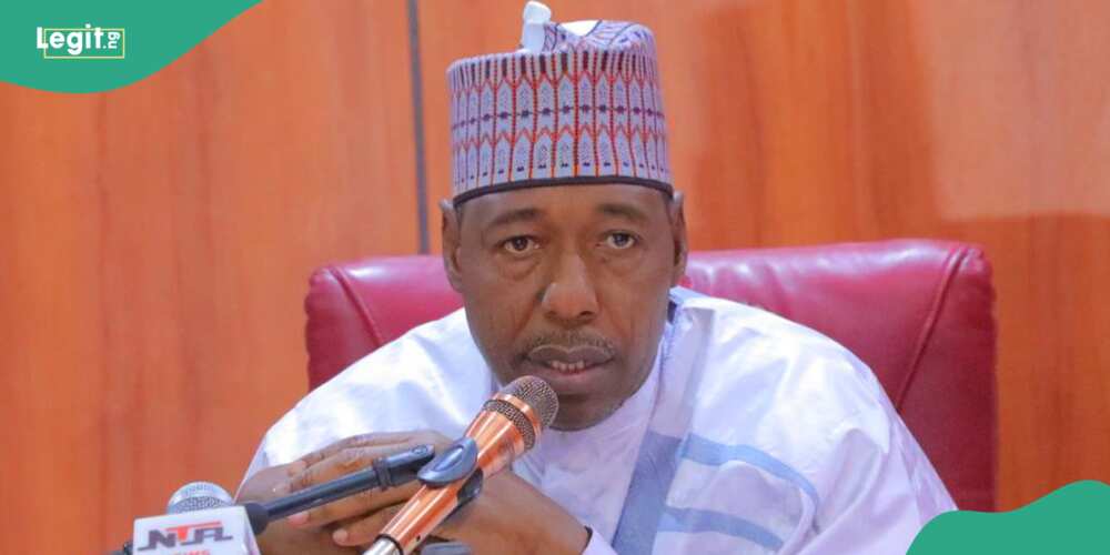 Borno governor transfers ower to his deputy, reason emerge