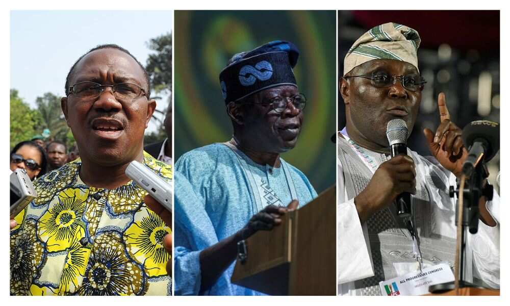 Job Creation, and Ease of Doing Business, Atiku, Peter Obi, Tinubu