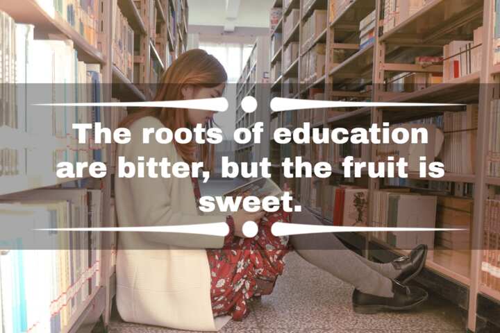 100+ inspirational education quotes for kids and teenagers - Legit.ng