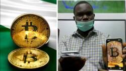Crypto crisis: 57,000 traders lose money as Bitcoin drops to $26,000