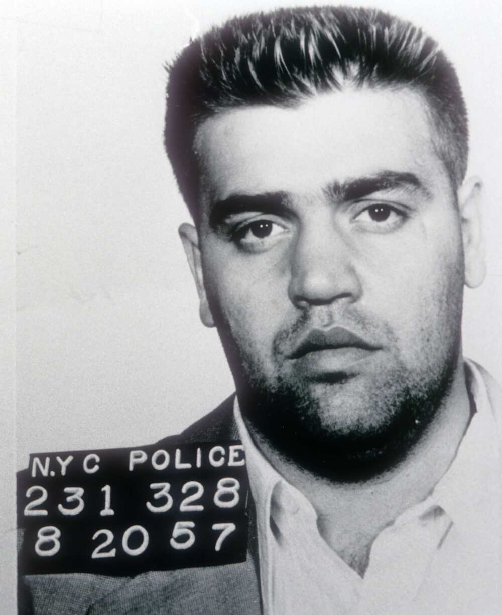 famous mobsters famous mobsters