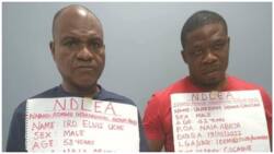 NDLEA arrests father of 4, businessman who ingested 165 wraps of illicit drugs