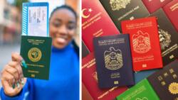 Nigeria Missing as UAE, Ukraine Make List of Most Improved Passports Over the Last 10 Years