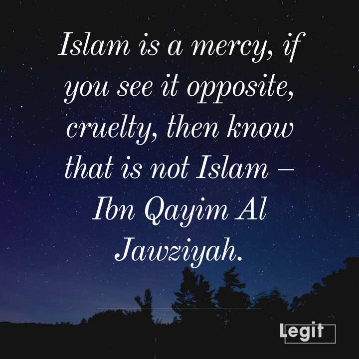 meant to be quotes islam