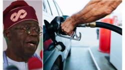 FG removes VAT on diesel for six months, says gas-powered buses coming soon