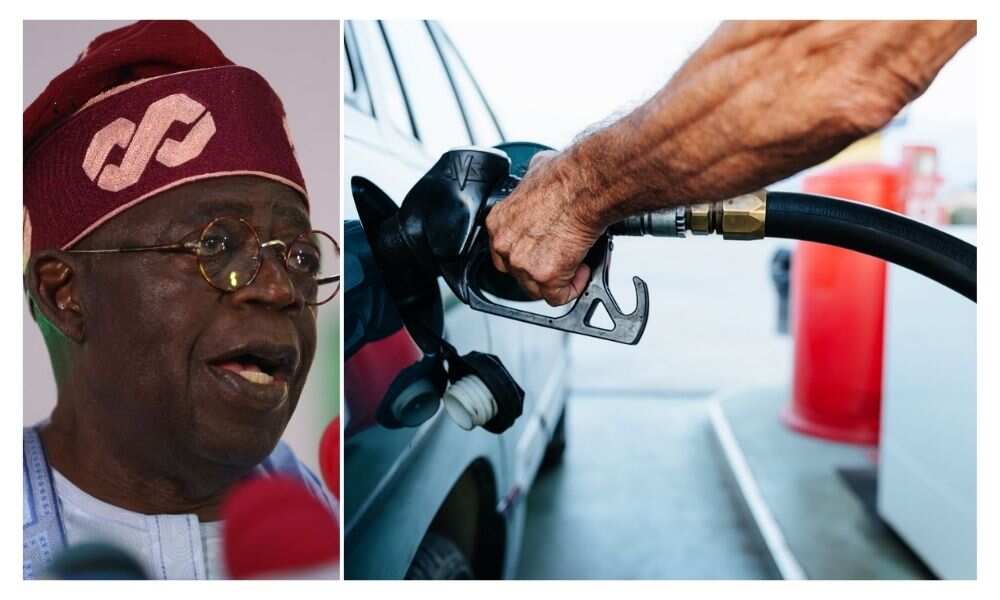 FG, Diesel Price