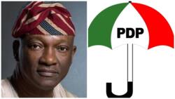 2023: Full list as PDP screens 6 aspirants for Lagos governorship ticket, Jimi Agabje not included