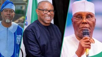 “Labour in pain in PDP or Atiku’s running mate?” Reno Omokri lists 3 options for Peter Obi ahead of 2027