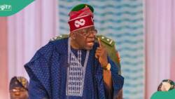 JUST IN: Tinubu orders review of tertiary institutions’ governing councils appointments after protests