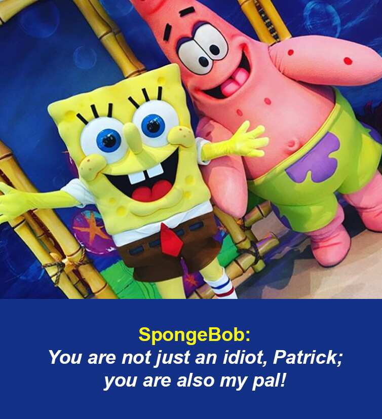 Funny SpongeBob quotes