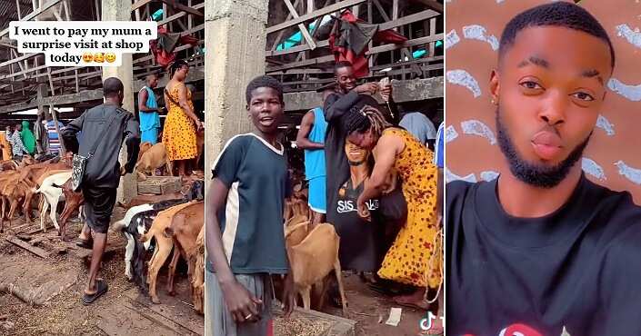 TikTok celebrity Ekwutus, goats, surprise visit
