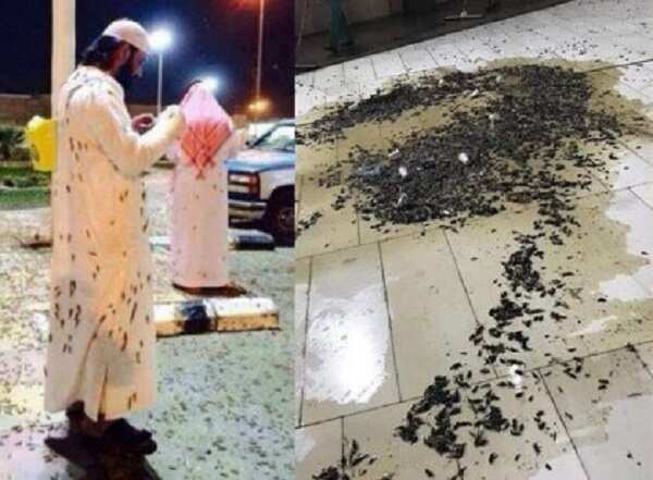 Saudiyya: Wasu mayun fari sun mamaye garin Makkah, hotuna