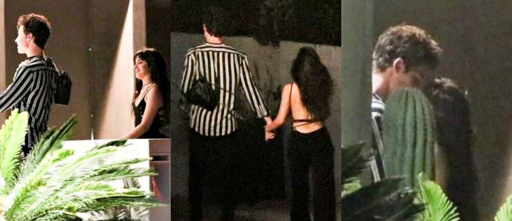 Are Shawn Mendes and Camila Cabello dating? - Legit.ng