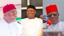 Peter Obi: 8 Igbo elites who have spoken against the 'OBIdient' movement