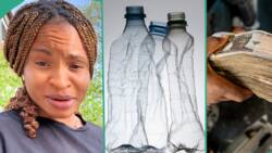 Lady living in Germany sells 6 empty water bottles for €7.50, makes N11,0000 instantly