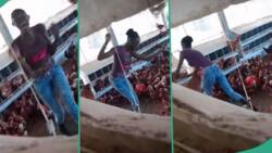 "They're all cheering her up": Video shows moment lady was caught performing for chickens in poultry
