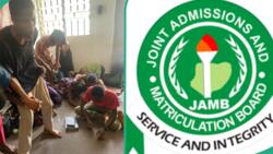 JAMB 2024: Man releases UTME results of 7 kids who "prayed too much" during exam, generates buzz
