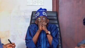 2023 presidency: Fresh twist emerges over Tinubu's eligibility as Court gives crucial order