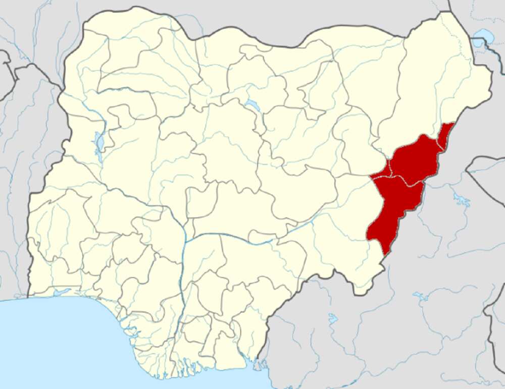 Da duminsa: 'Yan bindiga sun yi awon gaba da mata tare da dan na hannun daman Atiku Abubakar Da duminsa: 'Yan bindiga sun yi awon gaba da mata tare da dan na hannun daman Atiku Abubakar