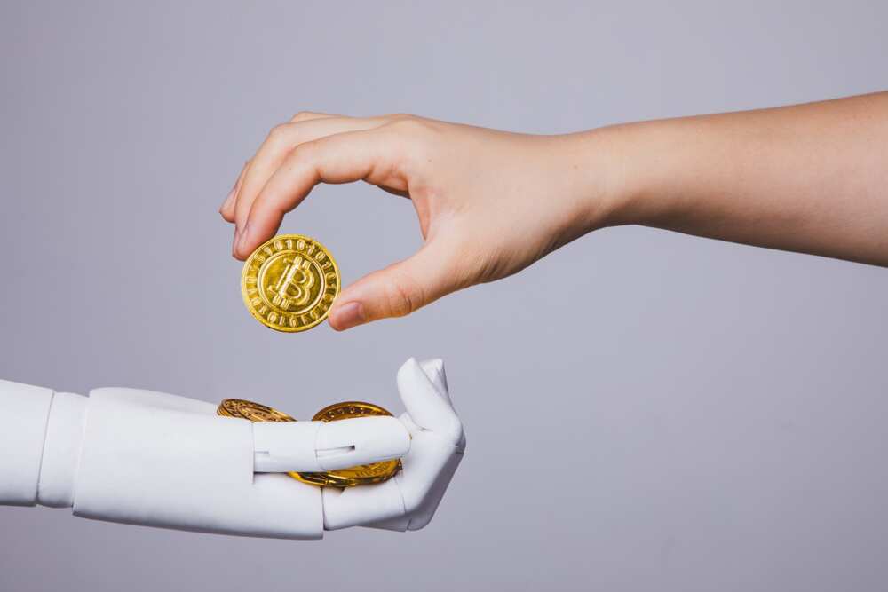 Crypto investors, US, UK, Germany, China, Nigeria Crypto investors, US, UK, Germany, China, Nigeria