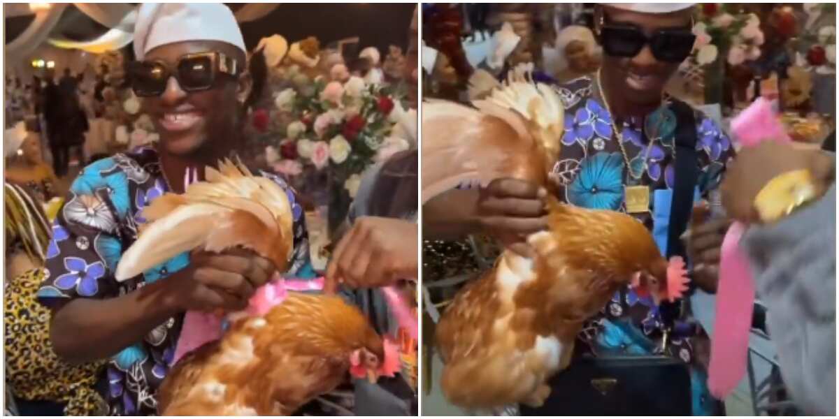 Yorubas do the most: Hilarious reactions as actor Alesh, other guests receive live chickens as party souvenir
