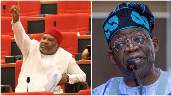 2023: Twist as powerful PDP Senator asks youths to vote for Tinubu, gives strong reason