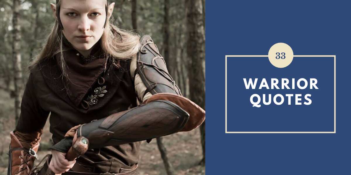 35 Warrior Quotes That Will Give You The Strength To Move Forward Legit Ng