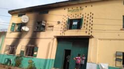Surprise, outrage as inmate of Owerri prison spends 14 years awaiting trial
