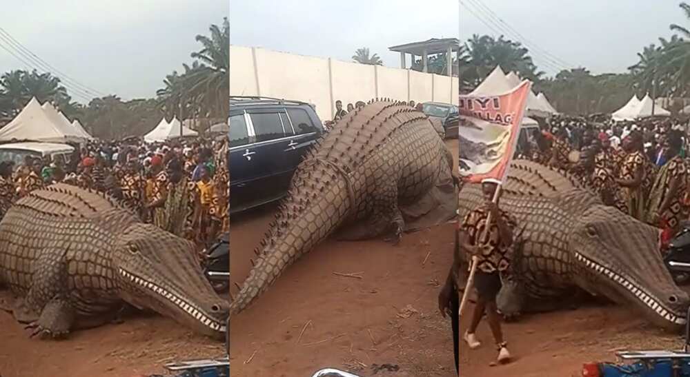 Photos of a Nigerian crocodile masquerade parading the streets.
