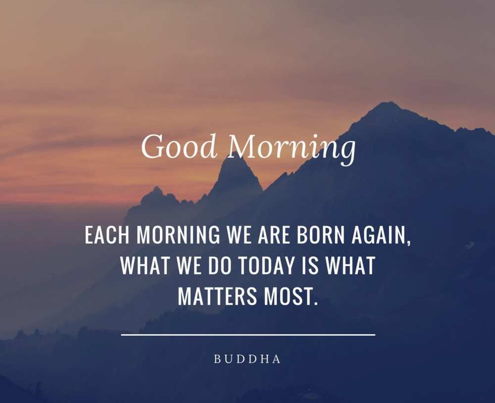 Good morning message quote Good morning message quote