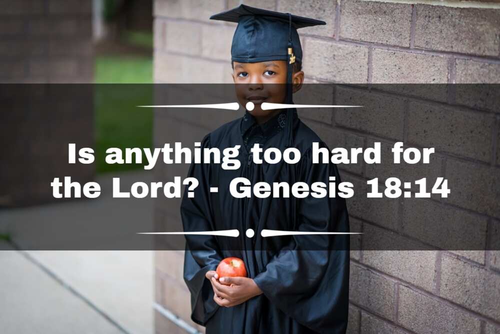 bible verses on academic success bible verses on academic success