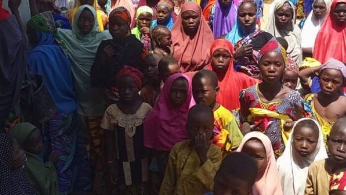 Sokoto: Yan Bindiga Sun Kai Hari Wani Gari Sun Sace Kayan Abinci