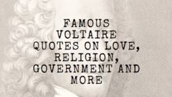 Top Candide, critique, love, and freedom Voltaire quotes