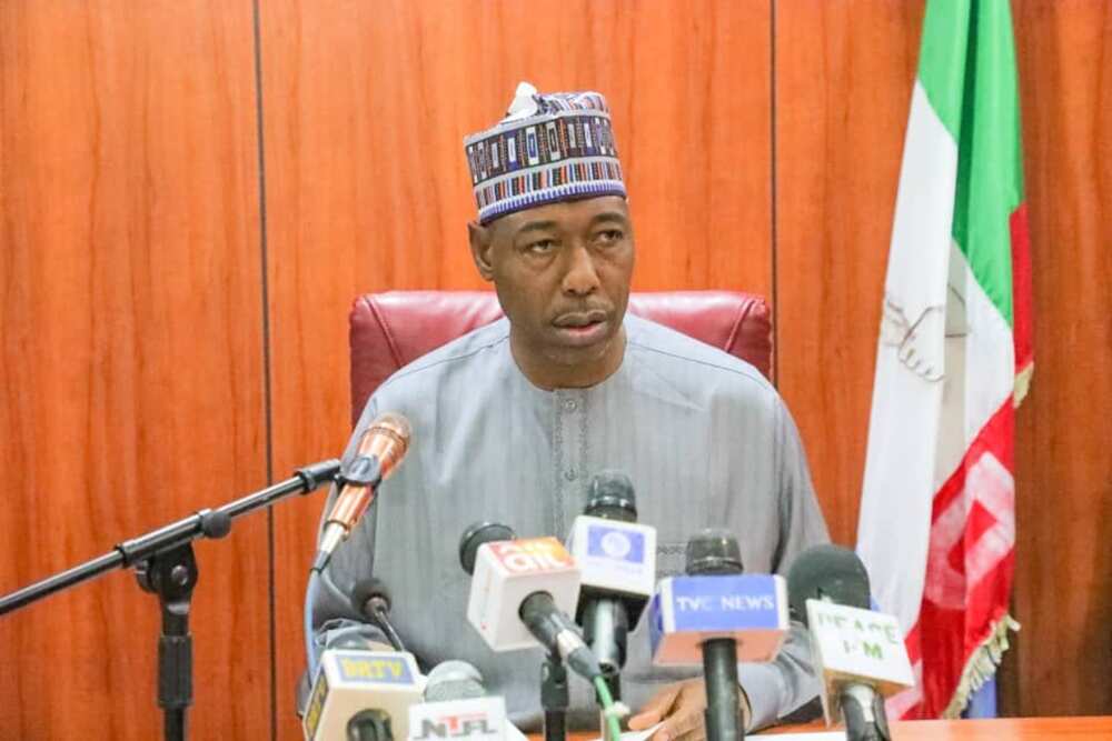 Zulum Zulum