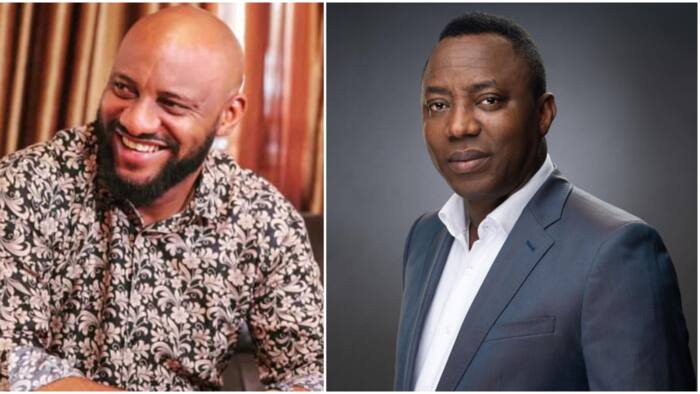 "Seeking for relevance na your mate?" Yul Edochie stirs reactions with birthday message to Sowore at 52