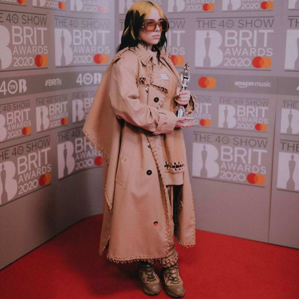 how did Billie Eilish become famous how did Billie Eilish become famous