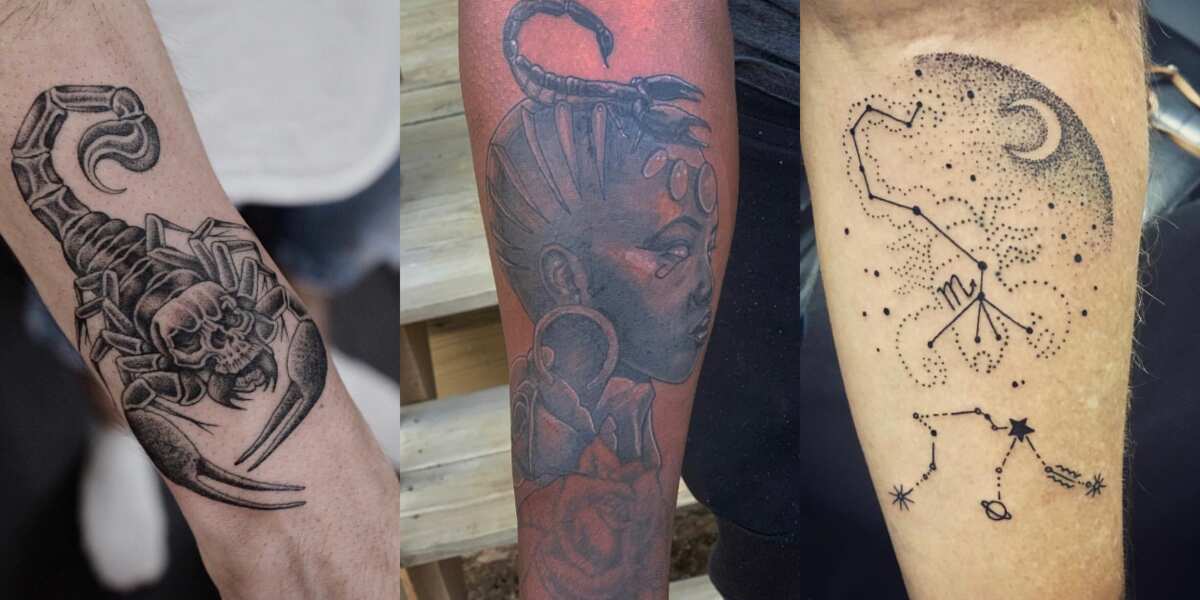 50 scorpion tattoo design ideas for men Legit.ng