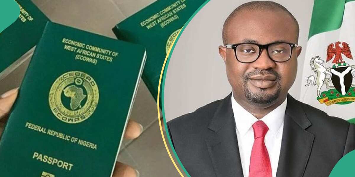 “No more long queues”: Minister reveals how Nigerians abroad can now apply for passports from home