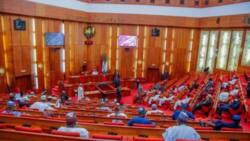 Ekpenyong Bassey: Nigerian Senate adjourns plenary, gives reason