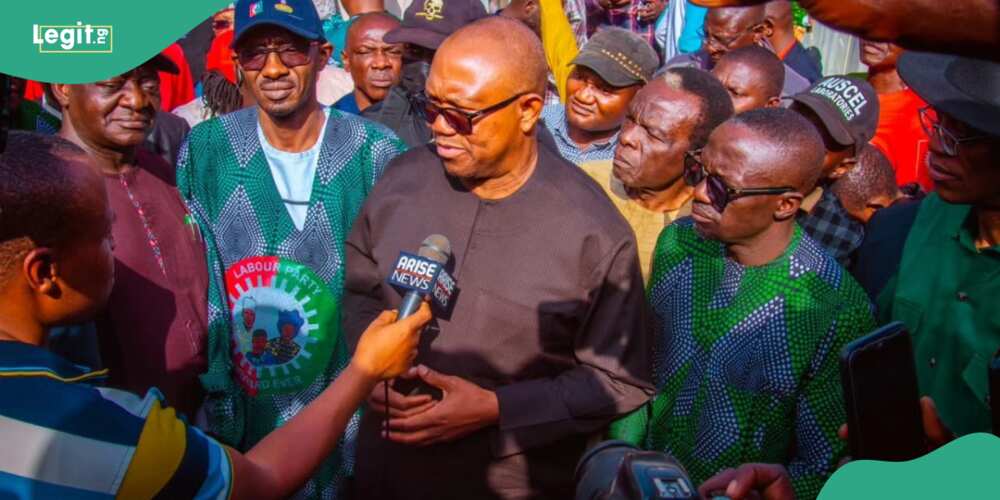 Peter Obi told what to do amid LP internal crisis