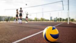 Volleyball&#ffcc66;s Soaring Ascent: From Beaches to International Arenas