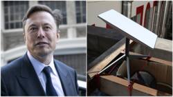 Elon Musk’s Starlink to partner Jumia to deliver internet kits in Nigeria, Kenya