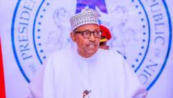 “Na Matsu Na Koma Mahaifata Daura”: Inji Buhari Yayin da Ya Yi Bikin Sallah Na Karshe a Aso-Rock