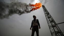 Iraq warned to end oil addiction to avoid 'intensive care'