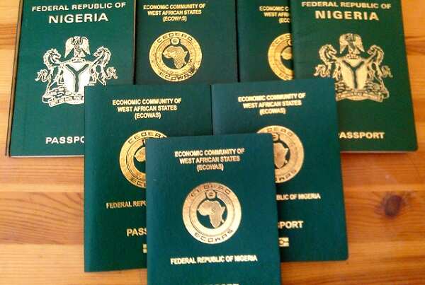Nigerian passport fee