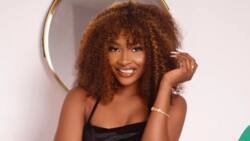 BBNaija: PiggyVest, FairMoney duel over best interest rate offer for Ilebaye's N120m