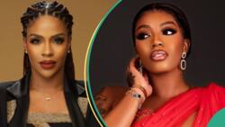 BBNaija All Stars: Venita, Angel reveal finalists they are rooting, share plans, others