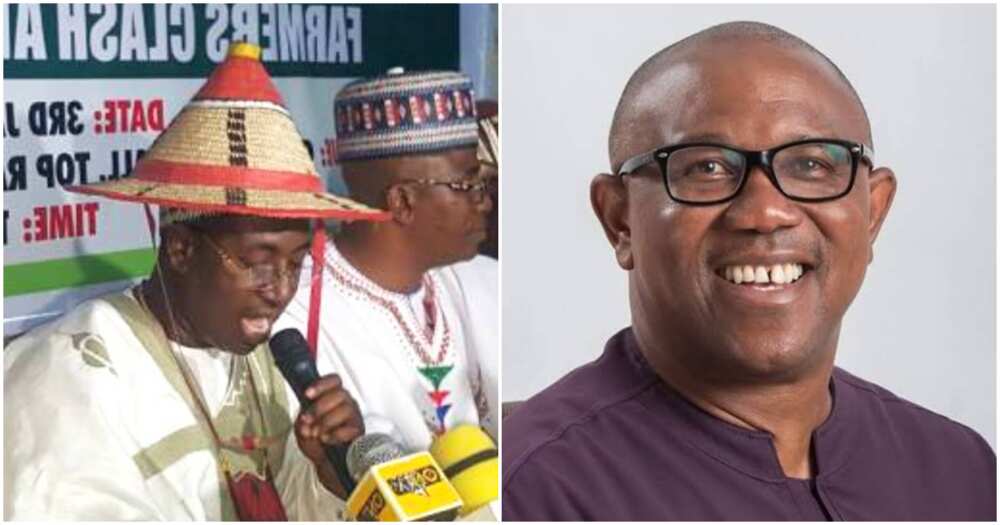 Labour Party, Peter Obi, 2023 election, The Miyetti Allah Kautal Hore, Biafran